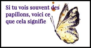 Voici ce que cela signifie si tu vois des papillons fréquemment                                        
                                    