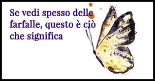 Ecco cosa significa vedere le farfalle di frequente                                        
                                    