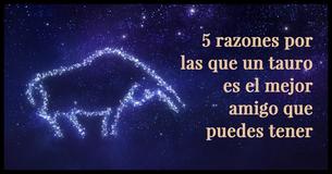 5 razones que hacen de los tauro los mejores amigos