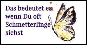 Das bedeutet es, wenn Du häufig Schmetterlinge siehst