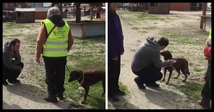 Depressed Dog Is Alone At Shelter For 2 Years, But Then Recognizes A Familiar Smell