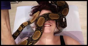 Need To Relax? Try Getting A Snake Massage (Using Actual, Live Snakes)