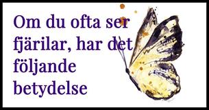 Om du ser fjärilar hela tiden betyder det detta