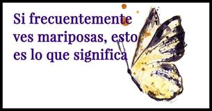 Esto es lo que significa si ves mariposas frecuentemente