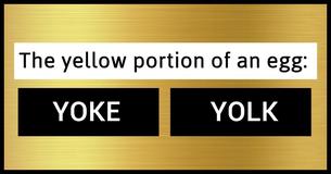 You're A Grammar Genius If You Pass The Homophones Test That Most People Fail