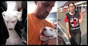 Un monteur d'échafaudage libère les chiens d'une voiture verrouillée à plus de 30 degrés et confronte le propriétaire