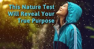 This Nature Test Will Reveal Your True Purpose