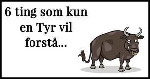 6 ting som kun en Tyr kan forstå