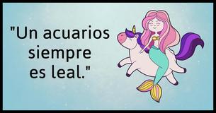 14 razones por las que deberías estar agradecido de conocer a un acuario