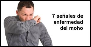 7 señales físicas de exposición al moho que debes conocer