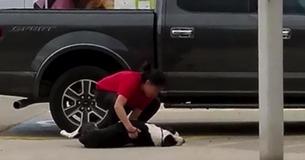 Sad Scene As Helpless Dogs Get Dragged Into A Shelter By Their  Owner But What Follows Next Will Warm Your Heart