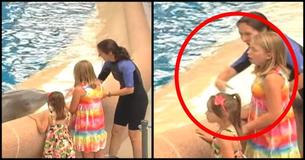Estas hermanas estaban jugando con un delfín. De repente, ¡el instructor les dice que tienen que huir 