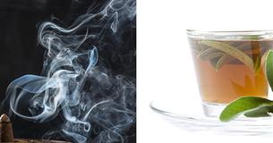 12 Reasons Why You Need To Keep Sage In Your House