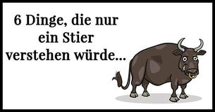 6 Dinge, die nur ein Stier verstehen würde