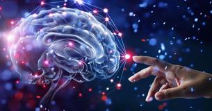 Can An IQ Scale Correctly Guess Your Level Of Education?
