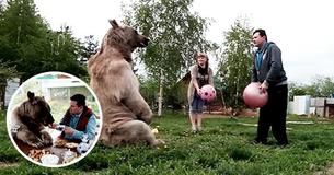 Childless Russian Couple Adopts Orphaned Bear When He Is 3 Months Old, Still Lives With Them 25 Years Later