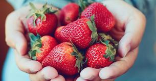 After She Was Given Just Months To Live, This Woman Beat Cancer With A Simple Diet Change