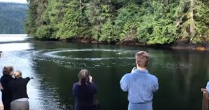 A Crowd Gathers As Circles Of Bubbles Appear In Water - The Internet Is In Awe Of What Happens Next