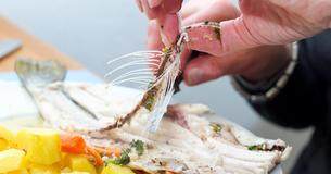 Here Is What You Need To Know When You Get A Fish Bone Stuck In Your Throat