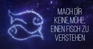 Deswegen sind Fische die verwirrendsten Menschen, die Du in Deinem Leben treffen wirst