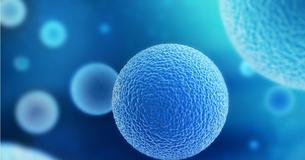 Your Cells Can Hear You - Talking To Your Body Can Actually Help You Heal