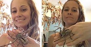 This Woman Raises 5 Deadly Spiders And Claims Them As Her Pets