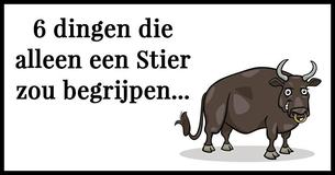 6 dingen die alleen een Stier zal begrijpen