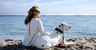 New Study Proves That People Love Dogs More Than They Love Other People