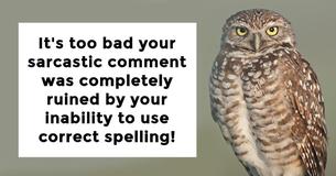 You'll Never Spell The 17 Most Confusing Words Without A Spell-Checker