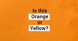 This Color Test Will Determine What Type Of Intelligence You Have