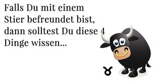 Die 4 wichtigsten Dinge, die Du wissen solltest, falls Du mit einem Stier befreundet bist