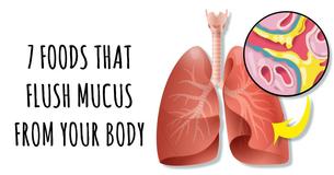 Eat These 7 Foods To Flush Mucus From Your Body