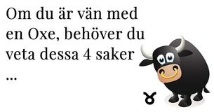 De 4 viktigaste sakerna att känna till när du är vän med en Oxe