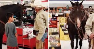 Cowboy Parades Through Aisles With His Horse In Store And Causes A Commotion