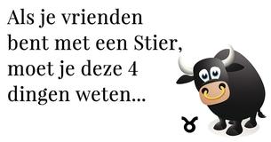 De 4 meest belangrijke dingen om te weten als je bevriend bent met een Stier