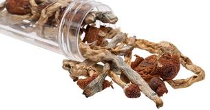 New Study Shows Magic Mushrooms Can Turn Off The Part Of The Brain That Can Cause Depression