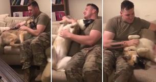 Heartwarming Moment Shows German Shepherd Reunited With Her Soldier Owner After 9 Long Months Apart