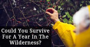 Could You Survive For A Year In The Wilderness? Take This Quiz To Find Out