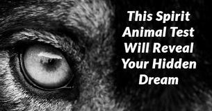 This Spirit Animal Test Will Reveal Your Hidden Dream