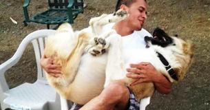Airline Tries To Refuse Two Dogs That A Soldier Rescued, So A Millionaire Stepped In To Help