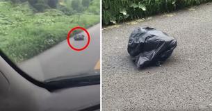 Woman Notices A Moving Trash Bag On The Side Of The Road - You Won't Believe What's Inside