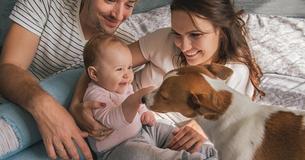 Held auf vier Pfoten: Wie ein Familienhund das Leben eines Kindes rettete