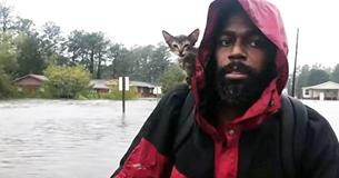 This Soaking Wet Kitten Clings To Her Rescuer's Shoulder After Surviving Hurricane
