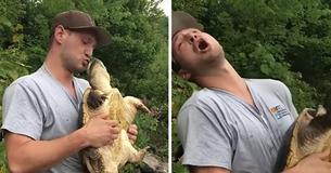 Snapping Turtle Viciously Bites Man's Nose