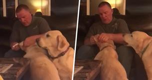 Dog Gets Jealous Of Sister's Ear Medicine, So Owner Pretends He Needs It Too