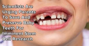 Scientists Urge Parents To Save Baby Teeth For Important Stem Cell Research
