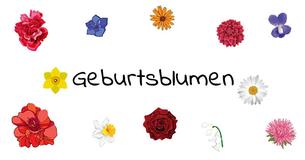 Weißt Du, was Deine Geburtsblume ist? Finde heraus, was sie über Deine Persönlichkeit enthüllt.