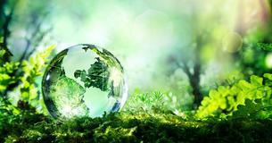 Wie gut kennst Du Dich mit Recycling aus?