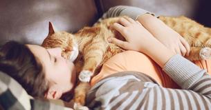 What It Means When Your Cat Curls Up On The Couch With You - Plus 5 More Behaviours And The Meaning Behind Them