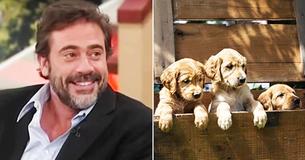 Hollywood Star Asks For The Least Adoptable Animal And Rescues It